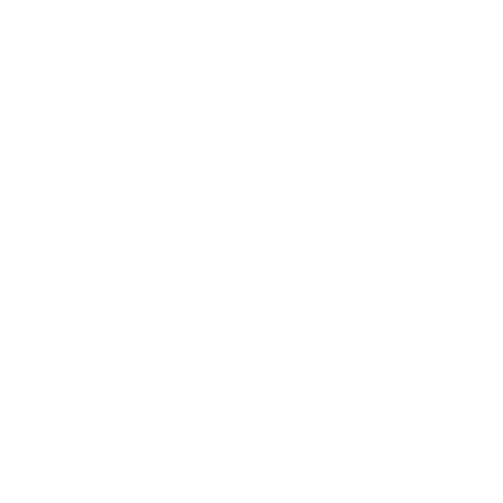 SporTraveller Logo